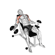 hyght dumbbell fly animación