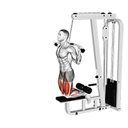 cable assisted inverse leg curl animación