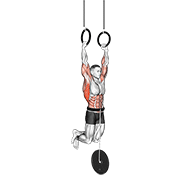 weighted muscle up animación