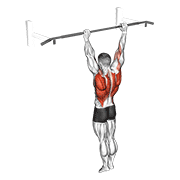 archer pull up animación