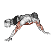 archer push up animación