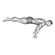 full planche animación