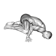frog planche animación