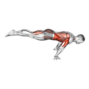 full planche push-up animación