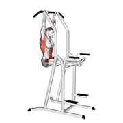 l-pull-up animación