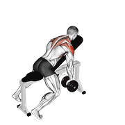 dumbbell incline y-raise animación