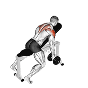 dumbbell incline t-raise animación