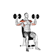 dumbbell seated alternate shoulder animación