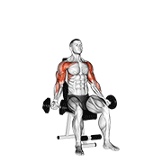 dumbbell seated biceps curl to shoulder press animación