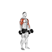 dumbbell standing alternate hammer curl and press animación