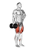 dumbbell contralateral forward lunge animación