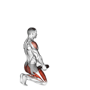 weighted kneeling step with swing animación