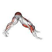 pike-to-cobra push-up animación