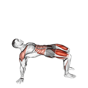 reverse plank with leg lift animación