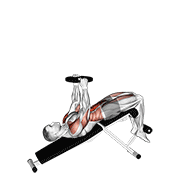 weighted decline sit-up animación