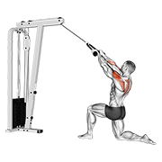 cable kneeling rear delt row (with rope) (male) animación