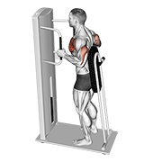 lever standing chest press animación