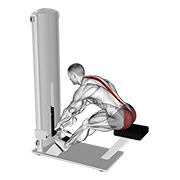 lever seated good morning animación