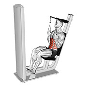 lever seated crunch v. 2 animación