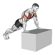 incline push-up (on box) animación